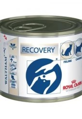 Royal Canin Recovery ветеринарная диета консервы для кошек и собак 195 гр. 